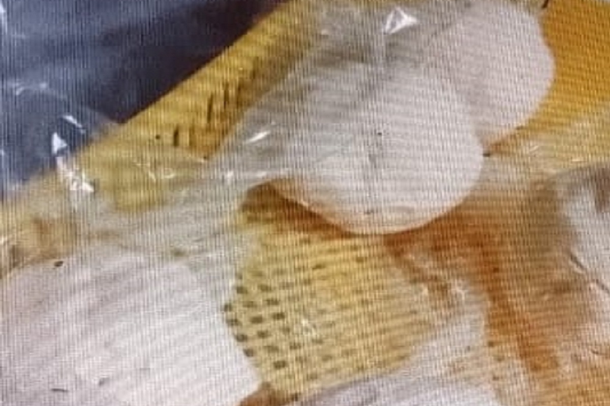 ضبط مصنع أجبان غير مرخص بالواسطى